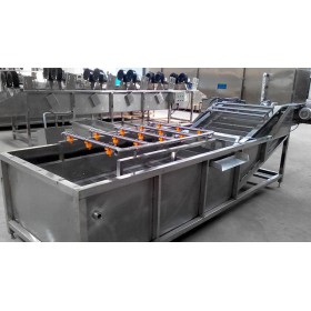 蔬菜無殘留的氣泡清洗機(jī)