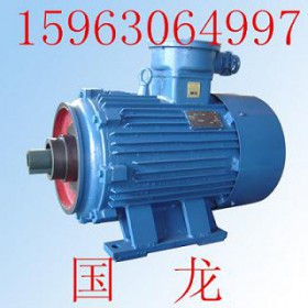 質(zhì)量+ 人氣+ 絞車用隔爆電機YBJ17-4