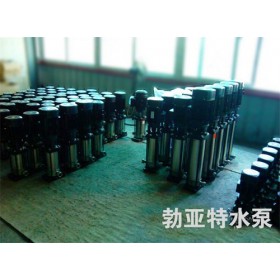 產(chǎn)地貨源當(dāng)天生產(chǎn)立式多級(jí)泵高品質(zhì)