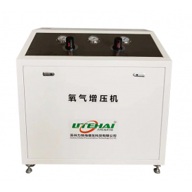 氧氣增壓機(jī)TNO-240 氣體增壓泵 蘇州力特海
